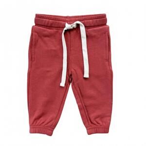 NEW BABYSPROUTS kid's drawstring jogger in berry red